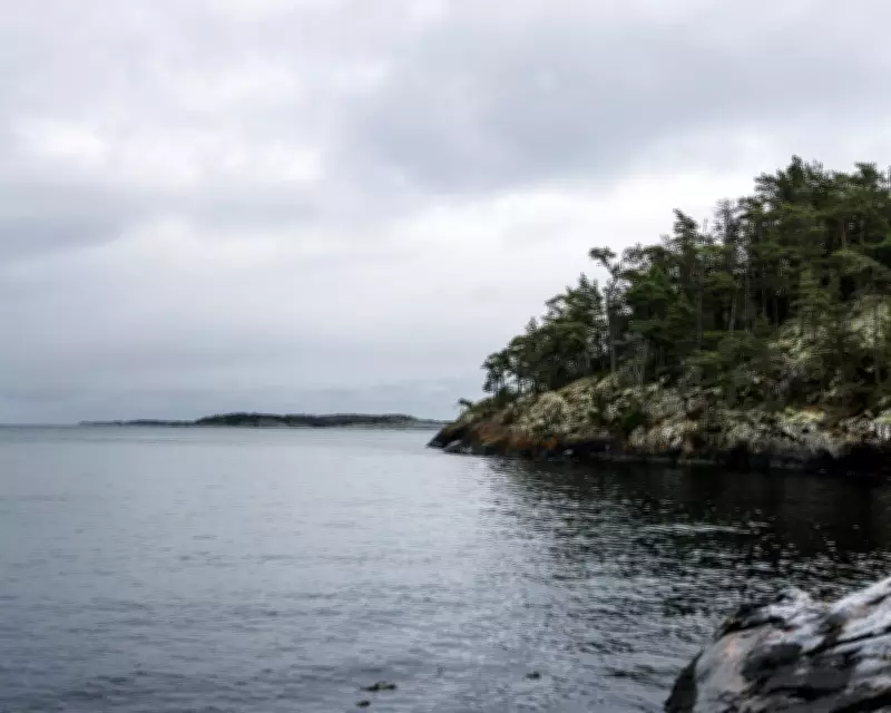 German Tourists Rescued After Floating Sauna Adventure Goes Awry on Swedish Ice