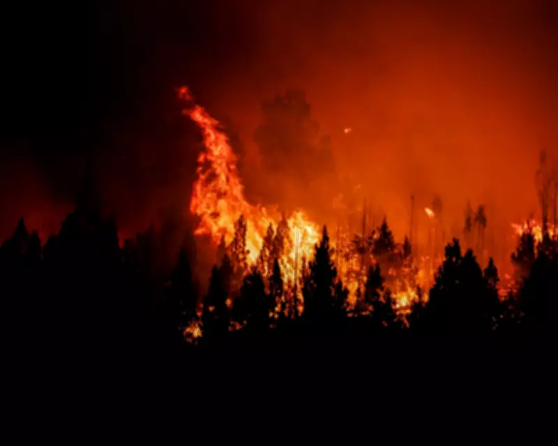 Global Lens: From Vigils to Protests, Monday's Most Striking Images