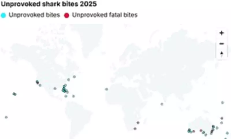 Global Shark Attack Hotspots Revealed: Florida Tops List in 2025 Report