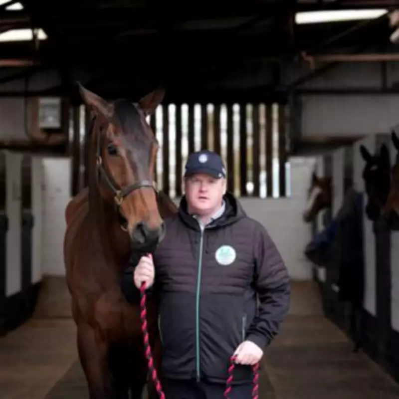 Gordon Elliott Delays Decision on Romeo Coolio's Cheltenham Festival Target