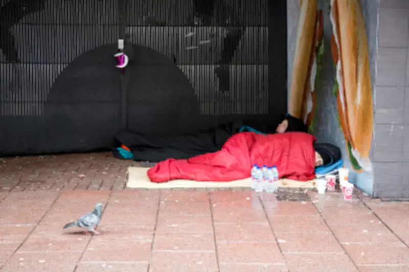 Government Urged to Use Empty Houses to Combat Homelessness Crisis