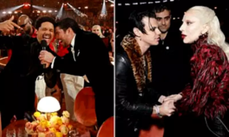 Grammys 2026 Seat Filler Reveals Backstage Chaos and Onstage Blunders