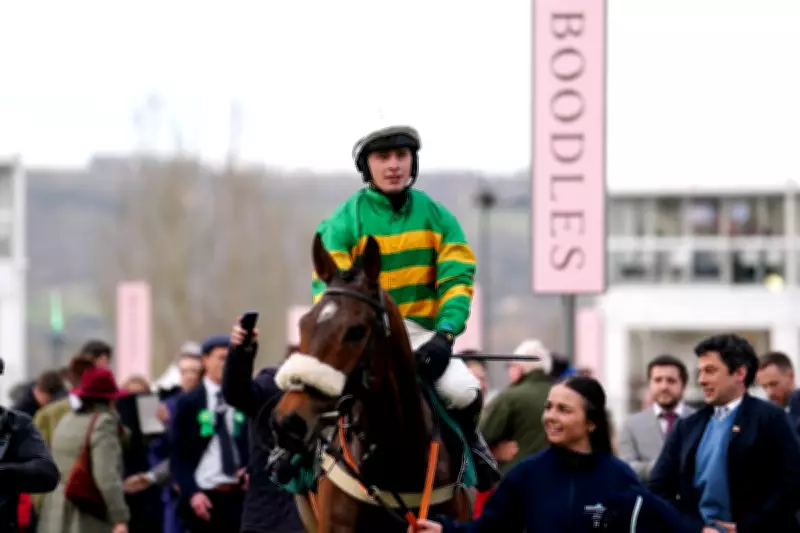 Grand National Ante-Post Betting Tips: Iroko and Jordans Stand Out