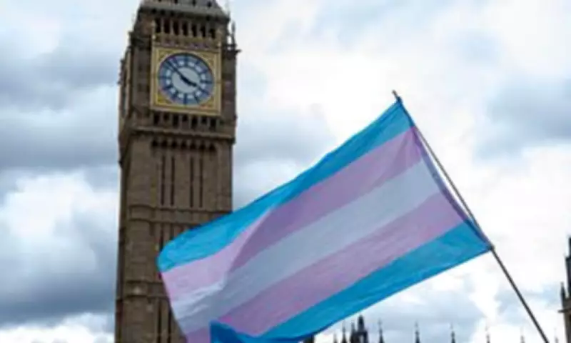 Green Party Activists Label Sports Ban on Trans Women as Colonialist 'Misogynoir'
