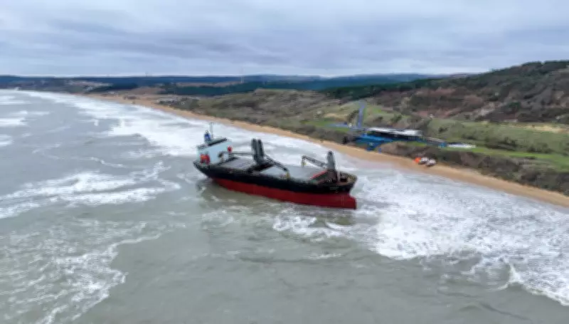 Grounded Cargo Ship and Sea Goddess: Tuesday's Captivating Photos