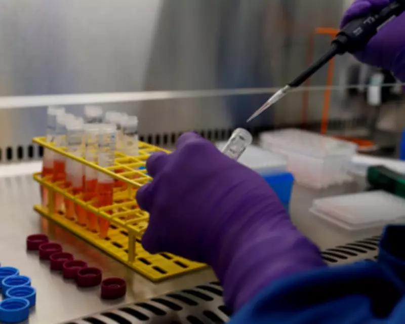 GSK Share Price Surges Past £20 on Strong 2025 Results, Marking a Turnaround
