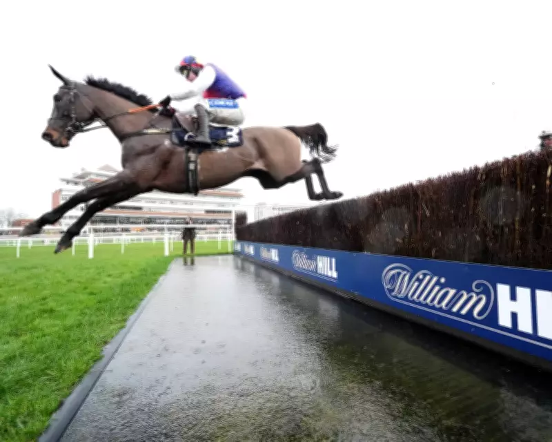 Haiti Couleurs Triumphs in Denman Chase, Emerges as Gold Cup Contender