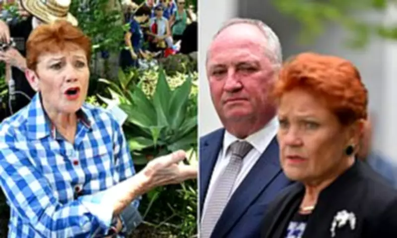 Hanson's Muslim Remarks Spark Debate on Extremism and Politics