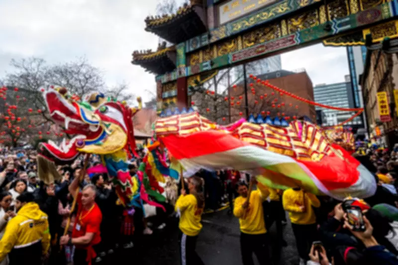 Harnessing the Fire Horse: Six Strategies for Lunar New Year 2026
