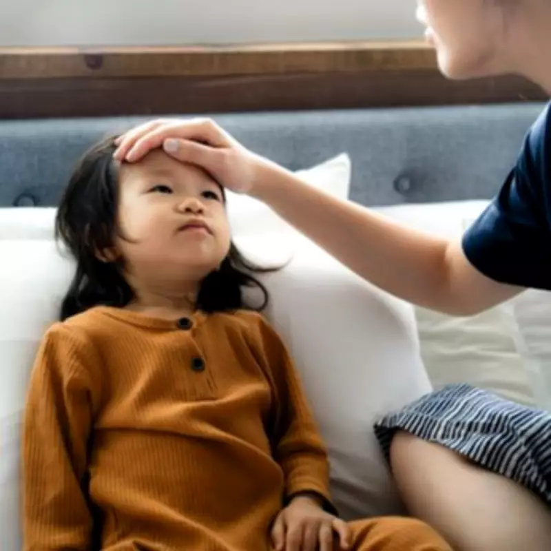 Hay Fever or Common Cold? Key Signs to Differentiate Seasonal Allergies