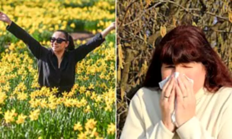 Hay Fever Surge as UK Warmth Sparks Pollen Explosion and Spring Bloom