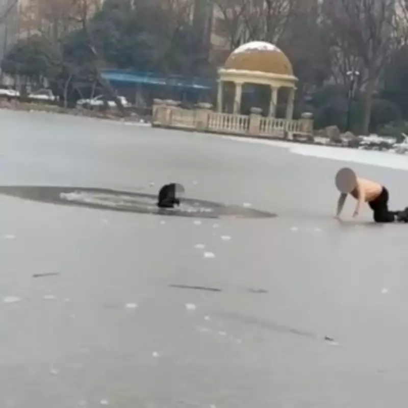 Heroic Father Risks Life in Frozen Lake Rescue of Boy Who Fell Through Ice