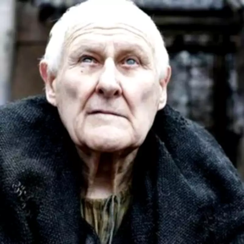 Hidden Targaryen Revealed: Aemon's Secret Role in Knight of the Seven Kingdoms