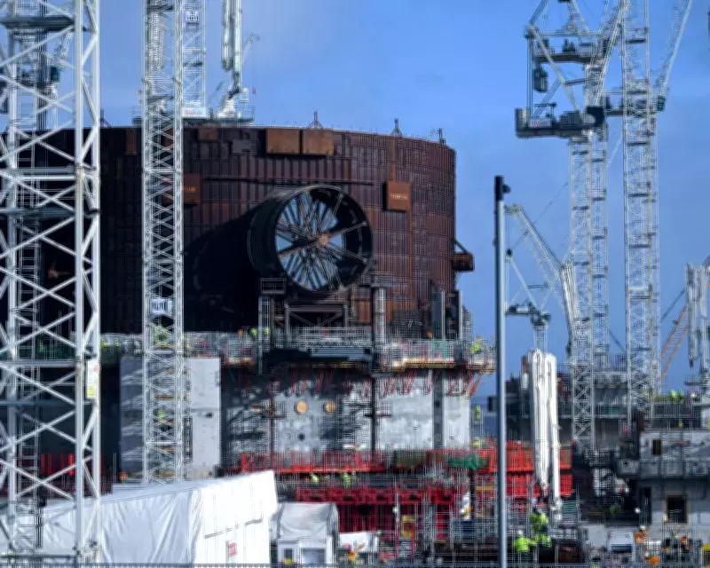 Hinkley Point C's £700m 'Fish Disco' Could Save 90% of Marine Life