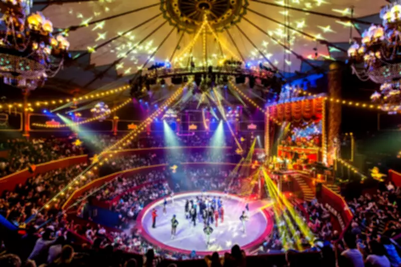 Historic Paris Circus Cirque d'Hiver Undergoes Major Restoration Project