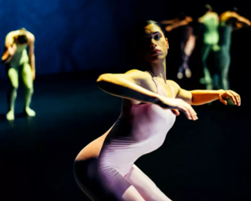 Holland Dance Festival's 20th Edition: From Noir Nightmares to Trampoline Bolero