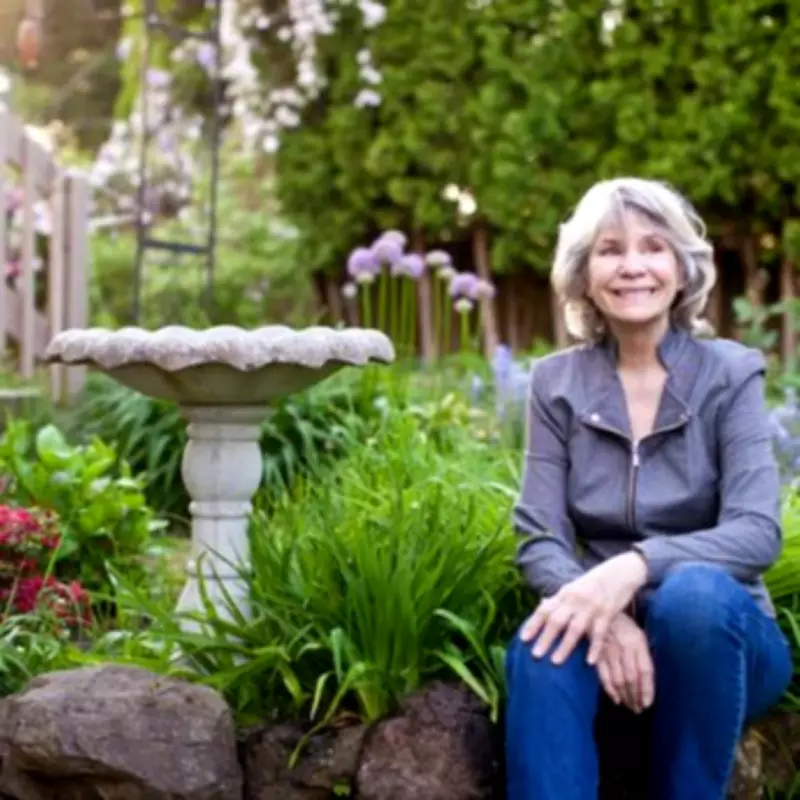 Home Bargains' £13 Bird Bath 'Adds Charm' and Attracts Nature to Gardens
