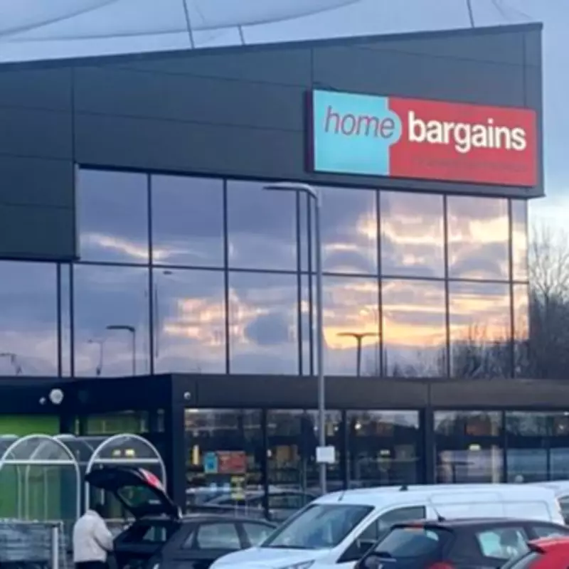 Home Bargains' £1.50 Hot Air Balloon Lights Add Cosy Charm to Gardens