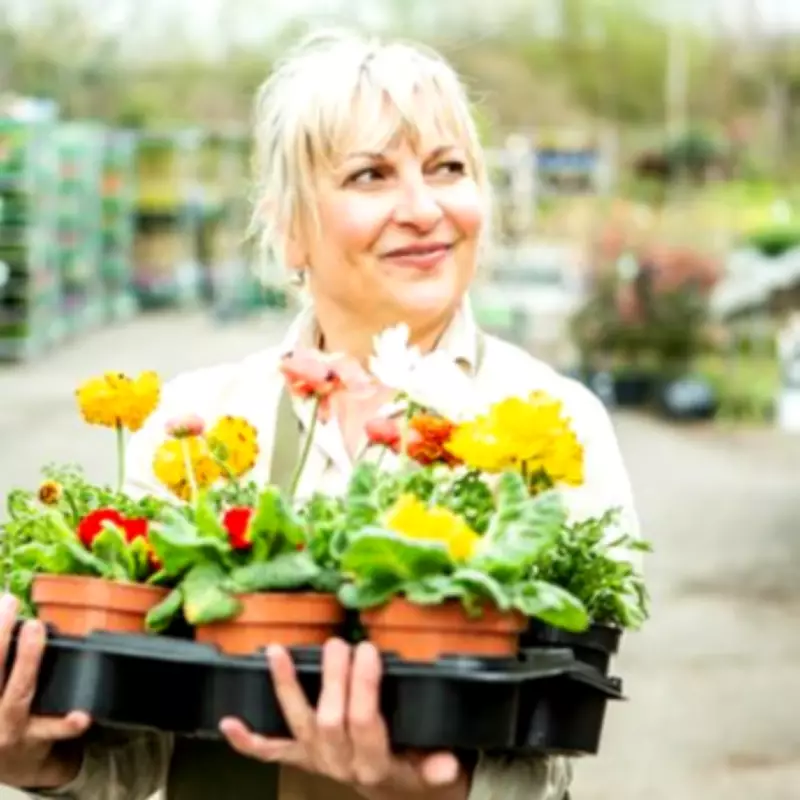 Home Bargains' £20 Blossom Tree Rivals Habitat's £50 Version