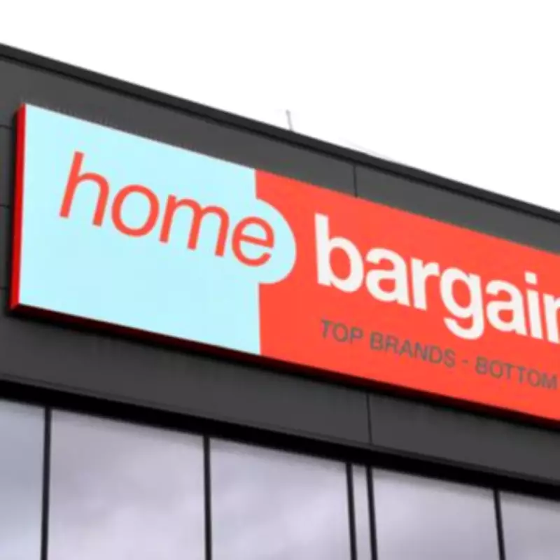 Home Bargains' £5 Bottles Rival £37 Owala Cups for Cooling Performance