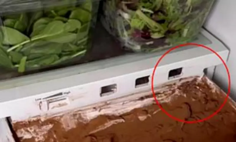 Home Cook's 'Tiramisu Drawer' Recipe Sparks Hygiene Outrage Online