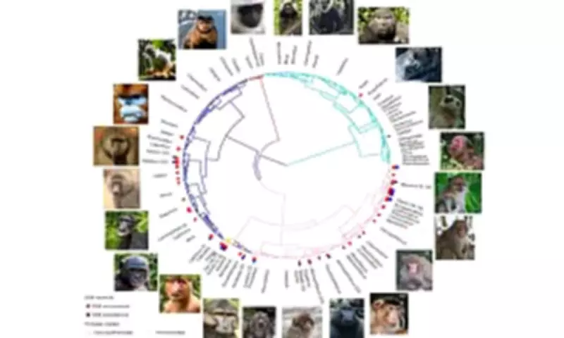 Homosexuality in Primates Evolved as Survival Strategy in Harsh Environments
