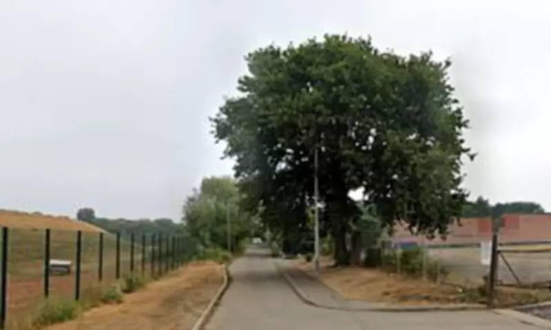 Horse and Cart Driver Arrested After Fatal E-Bike Collision in London