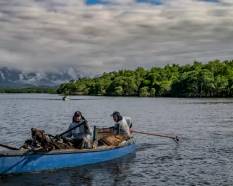 How Brazil's Fishers Are Reviving Rio's Polluted Bay Through Mangrove Restoration