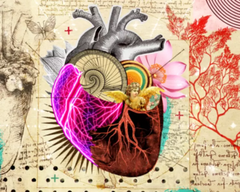 How Leonardo da Vinci's Drawings Transformed a Heart Surgeon's Career