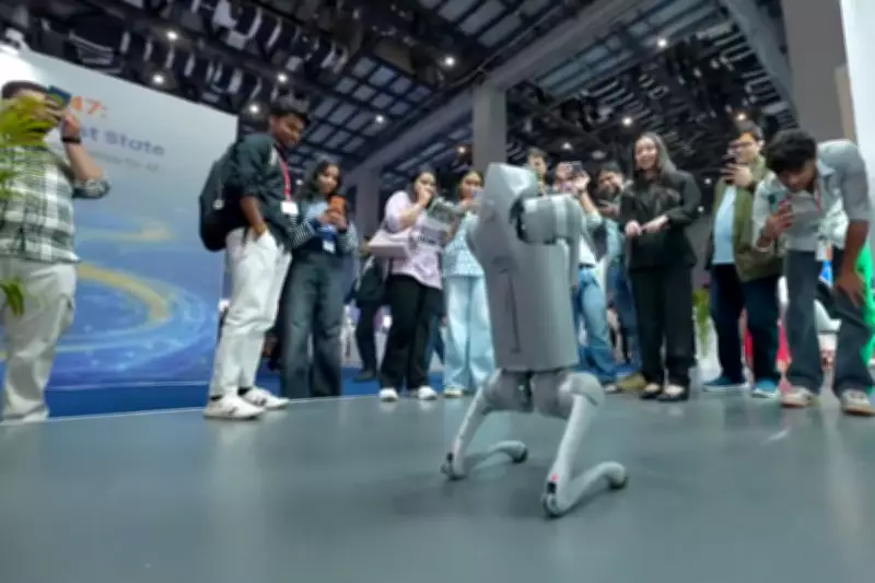 Indian University Expelled from AI Summit Over Chinese Robot Dog Claim