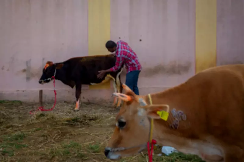 Influencer Faces Police Complaint After Viral Beef-Mutton Mix-Up Sparks Religious Tension