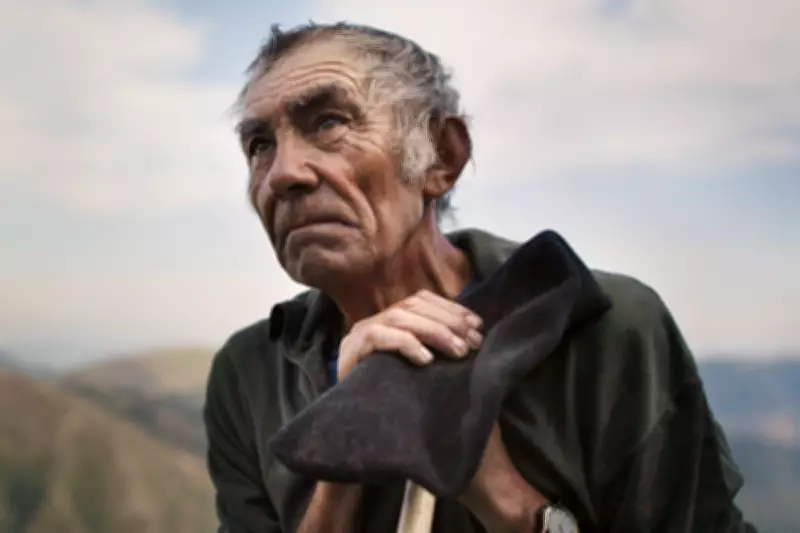 Inside 'The Shepherd and the Bear': A Complex Documentary on Bear Reintroduction