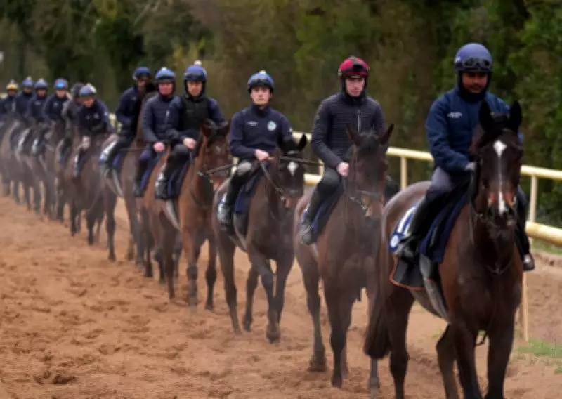 Irish Dominance Threatens British Stables at Cheltenham Festival