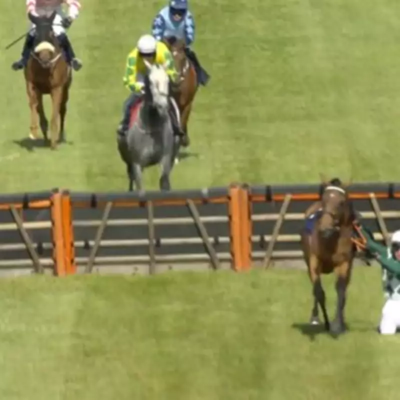 Irish Jockey Cleared of Deliberate Fall Allegations After Wexford Race Controversy