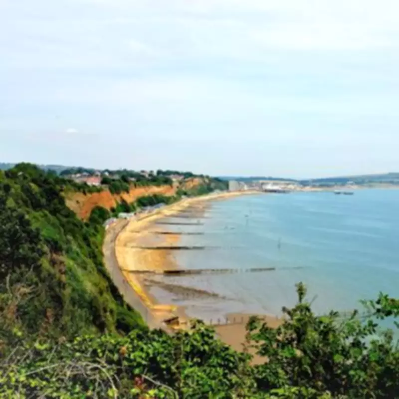 Isle of Wight's Yaverland Beach Ranked Among World's Best by Tripadvisor