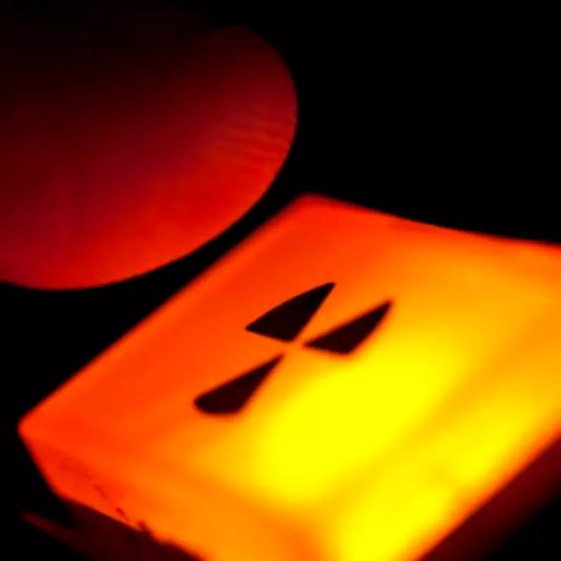 Japan Restarts World's Largest Nuclear Plant After Fixing Alarm Glitch