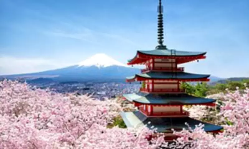 Japan's Cherry Blossom Festival Cancelled After Tourist Misconduct