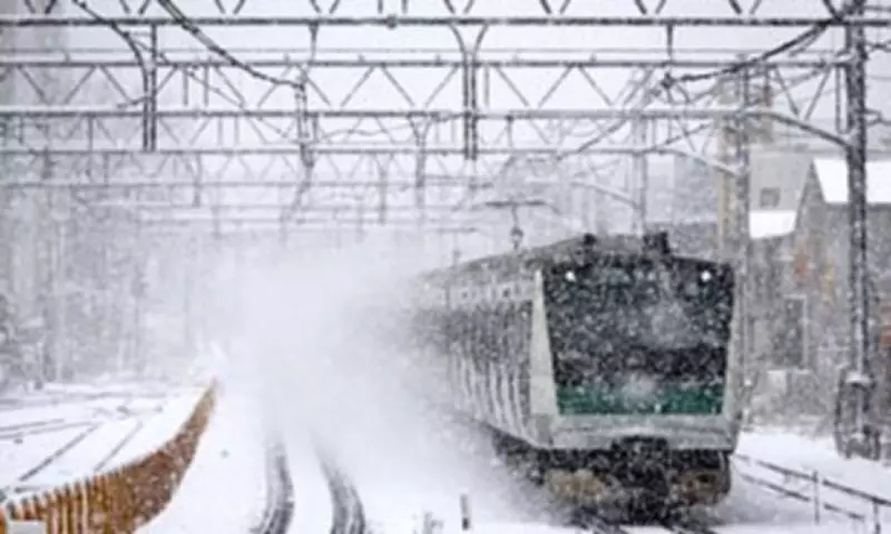 Japan's Deadly Snowfall: 46 Fatalities and Widespread Travel Disruption