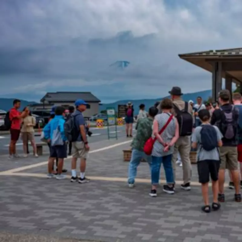 Japan's Iconic Cherry Blossom Festival Axed Due to Tourist Misconduct