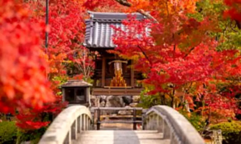 Japan's Top Tourist Attractions Revealed: Samurai Museum Leads the Way