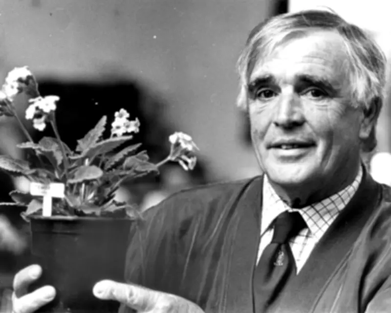 Joe Kennedy: The Dentist Who Cultivated Ireland's Primrose Heritage