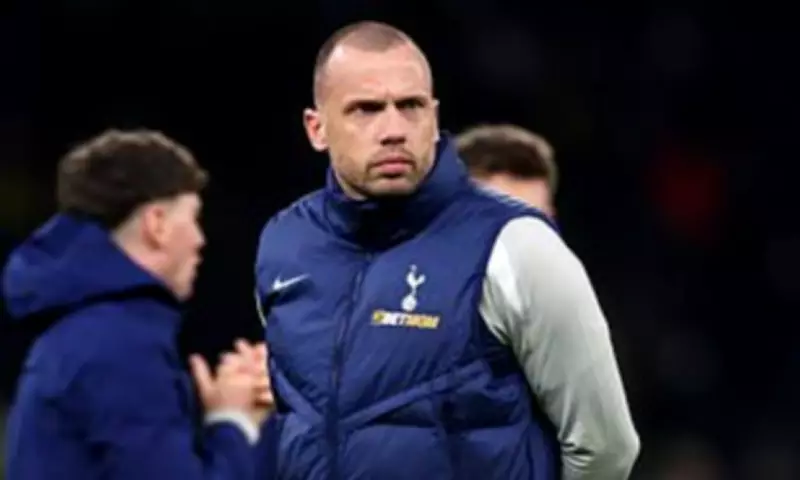 John Heitinga Rejected Tottenham's Plea to Stay After Frank's Sacking