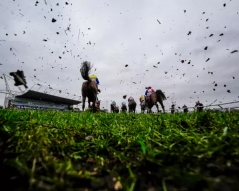Kdeux Saint Fray Aims to Challenge Emmet Mullins's Kempton Record