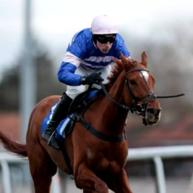 Kempton Racing Delayed After Fatal Injury to Dan Skelton Favourite Precious Man