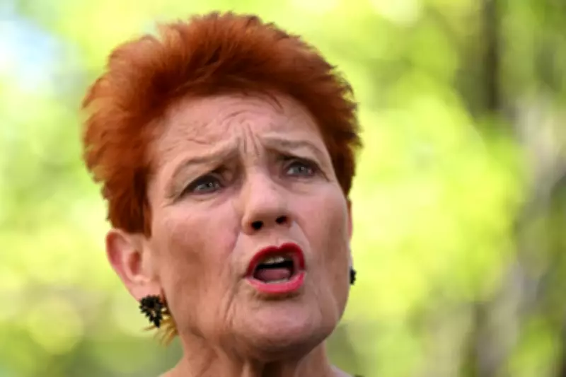 Labor MP Warns Liberals Against Chasing One Nation Down Racist Rabbit Hole