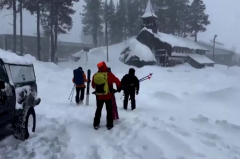 Lake Tahoe Avalanche Tragedy: Rescue Team Member's Spouse Among Eight Dead