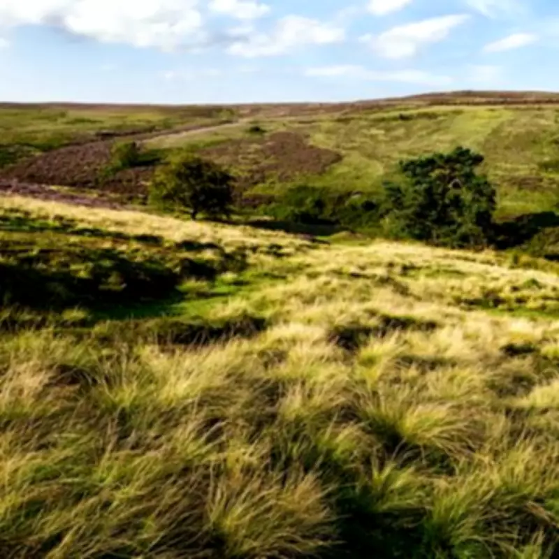 Lastingham: The Hidden Yorkshire Village With England's 'Most Atmospheric' Church