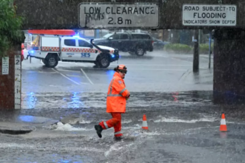 Late Summer Deluge Triggers Flood Warnings and Shark Alerts Across Southern Australia
