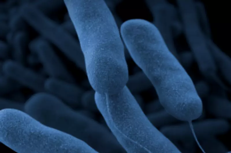 Lawsuit Claims Tourist Died from Legionnaires' Disease at Las Vegas Casinos