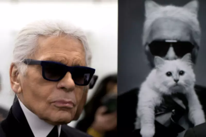 Legal Battle Erupts Over Karl Lagerfeld's €200m Fortune and Cat Choupette's Inheritance
